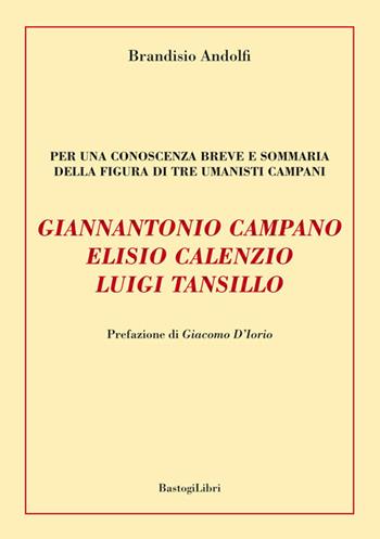 Giannantonio Campano, Elisio Calenzio, Luigi Tansillo. Per una conoscenza breve e sommaria della figura di tre umanisti campani - Brandisio Andolfi - Libro BastogiLibri 2016, Testimonianze | Libraccio.it