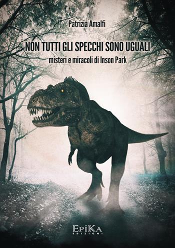 Non tutti gli specchi sono uguali. Misteri e miracoli di Inson Park - Patrizia Amalfi - Libro Epika 2017 | Libraccio.it