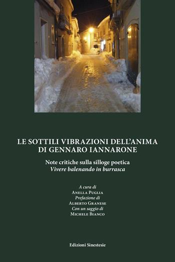 Le sottili vibrazioni dell'anima di Gennaro Iannarone. Note critiche sulla silloge poetica «Vivere balenando in burrasca» - Michele Bianco, Alberto Granese - Libro Sinestesie 2016, Fuori collana | Libraccio.it