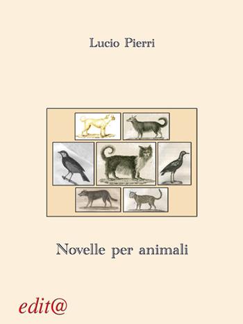 Novelle per animali - Lucio Pierri - Libro Edita Casa Editrice & Libraria 2019, Le centurie | Libraccio.it
