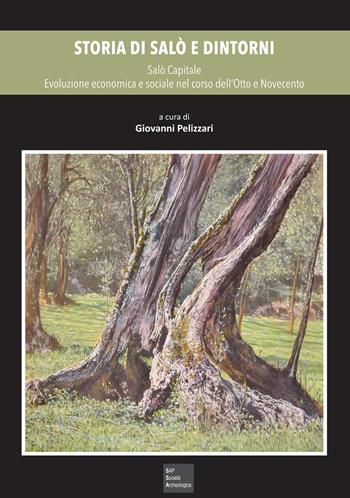 Storia di Salò e dintorni. Vol. 4: Salò Capitale. Evoluzione economica e sociale nel corso dell’Otto e Novecento  - Libro Società Archeologica 2023 | Libraccio.it