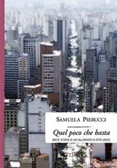 Quel poco che basta. Breve storia di un fallimento in atto unico