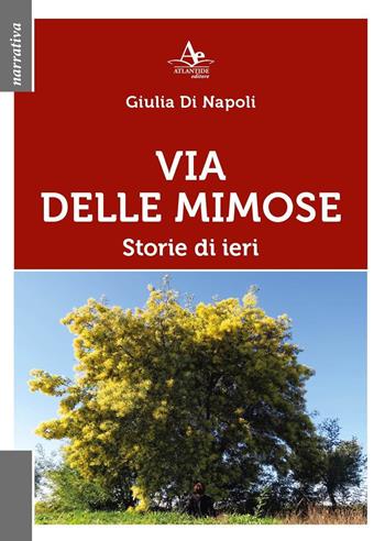 Via delle Mimose. Storie di ieri - Giulia Di Napoli - Libro Atlantide Editore 2023, Narrativa | Libraccio.it