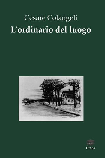 L' ordinario del luogo - Cesare Colangeli - Libro Lithos 2016 | Libraccio.it
