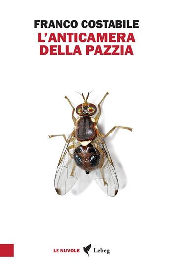 L'anticamera della pazzia. Inchieste e articoli pubblicati nel 1962 sul quotidiano «Il Paese» - Franco Costabile - Libro Lebeg 2024 | Libraccio.it