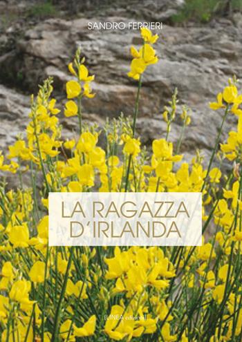 La ragazza d'Irlanda - Sandro Ferrieri - Libro Linea Edizioni 2018, Linea narrativa | Libraccio.it
