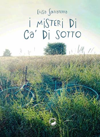 I misteri di Ca' di sotto - Elisa Salvaterra - Libro La Ruota 2019, Mirtilli | Libraccio.it