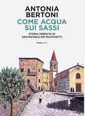 Come acqua sui sassi. Storia perduta di San Michele