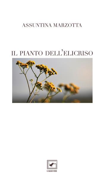 Il pianto dell'elicriso - Assuntina Marzotta - Libro Il Raggio Verde 2020, ConTesti diVersi | Libraccio.it