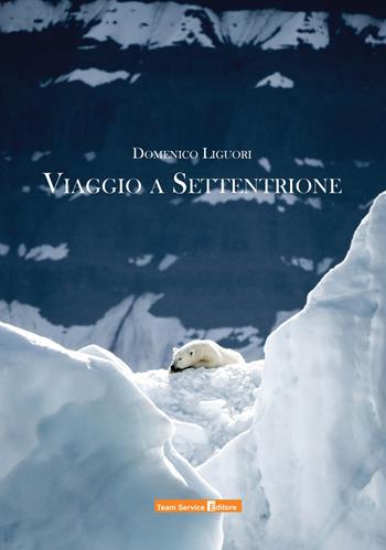 Viaggio a settentrione - Domenico Liguori - Libro Team Service Editore 2019 | Libraccio.it