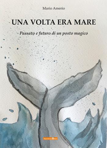 Una volta era mare. Passato e futuro di un posto magico - Mario Amerio - Libro Team Service Editore 2021 | Libraccio.it