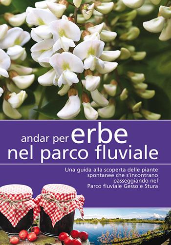 Andar per erbe nel parco fluviale. Una guida alla scoperta delle piante spontanee che s'incontrano passeggiando nel parco fluviale Gesso e Stura  - Libro Più Eventi 2017, Le guide | Libraccio.it