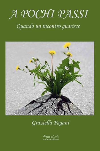 A pochi passi. Quando un incontro guarisce - Graziella Pagani - Libro Museodei by Hermatena 2020 | Libraccio.it