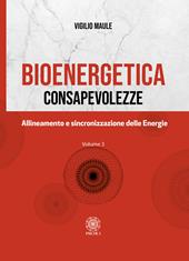 Bioenergetica. Consapevolezze. Vol. 3: Allineamento e sincronizzazione delle energie