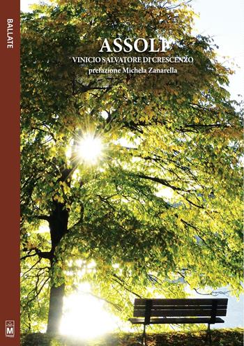 Assoli - Vinicio Salvatore Di Crescenzo - Libro Le Mezzelane Casa Editrice 2016 | Libraccio.it