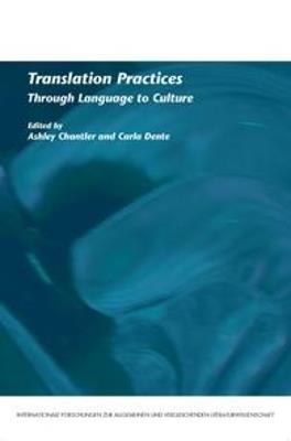 Translation Practices  - Libro Brill, Internationale Forschungen zur Allgemeinen und Vergleichenden Literaturwissenschaft | Libraccio.it