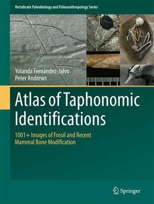 Atlas of Taphonomic Identifications - Yolanda Fernandez-Jalvo, Peter Andrews - Libro Springer, Vertebrate Paleobiology and Paleoanthropology | Libraccio.it