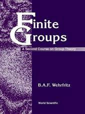 Finite Groups: A Second Course On Group Theory