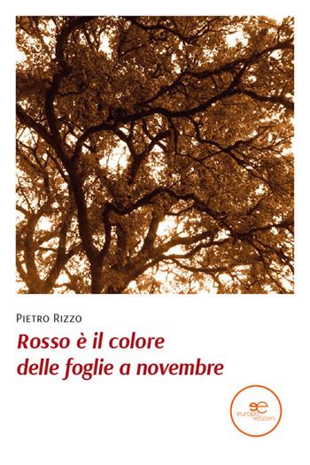 Rosso è il colore delle foglie a novembre - Pietro Rizzo - Libro Europa Edizioni 2021, Edificare universi | Libraccio.it