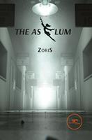 The Asylum - ZoriS - Libro Europa Edizioni 2022, Build universes | Libraccio.it