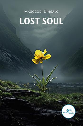 Lost soul - Magogodi Dingalo - Libro Europa Edizioni 2024, Draw spaces | Libraccio.it