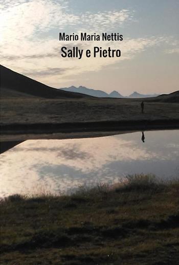 Sally e Pietro - Mario Maria Nettis - Libro StreetLib 2020 | Libraccio.it