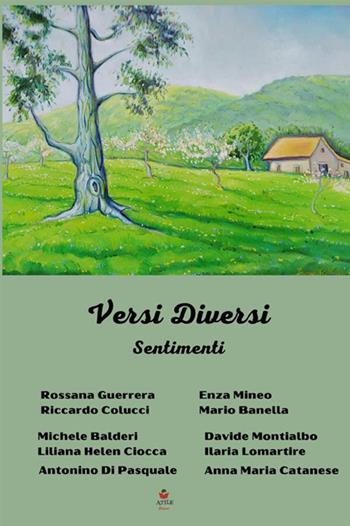 Versi diversi. Sentimenti  - Libro StreetLib 2021 | Libraccio.it