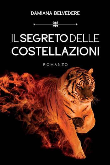 Il segreto delle costellazioni. Le indagini dell'investigatore Walter Profondo - Damiana Belvedere - Libro StreetLib 2021 | Libraccio.it