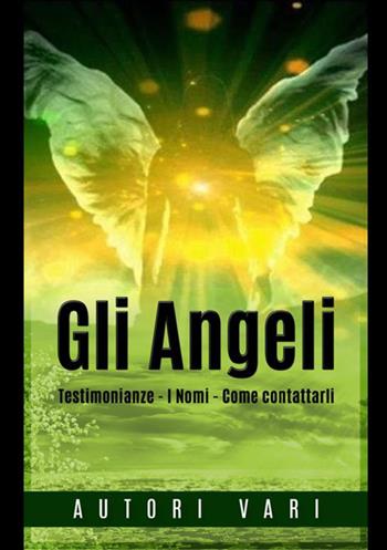 Gli angeli. Testimonianze. I nomi. Come contattarli  - Libro StreetLib 2021 | Libraccio.it
