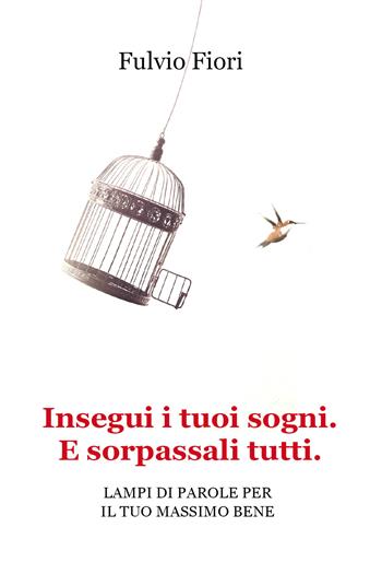 Insegui i tuoi sogni. E sorpassali tutti. Lampi di parole per il tuo massimo bene - Fulvio Fiori - Libro Youcanprint 2020 | Libraccio.it