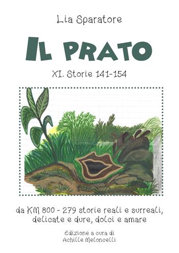 Il prato XI. Storie 141-154, da KM 800-279 storie reali e surreali, delicate e dure, dolci e amare - Lia Sparatore - Libro Youcanprint 2020 | Libraccio.it