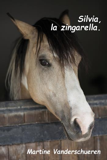 Silvia la zingarella - Martine Vanderschueren - Libro Youcanprint 2020 | Libraccio.it