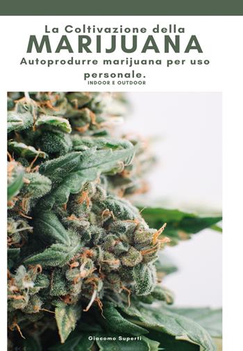 La coltivazione della marijuana. Autoprodurre marijuana per uso personale. Ediz. a colori - Giacomo Superti - Libro Youcanprint 2021 | Libraccio.it