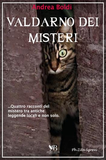 Valdarno dei misteri - Andrea Boldi - Libro Youcanprint 2021 | Libraccio.it