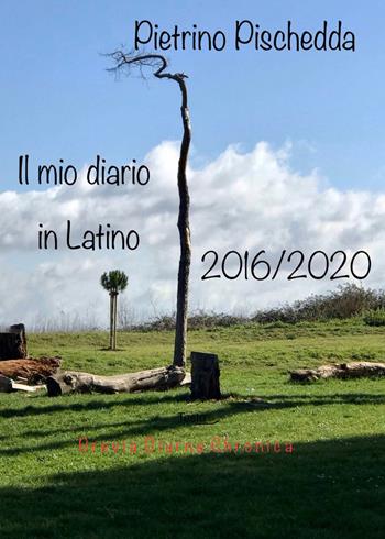 Il mio diario in latino - Pietrino Pischedda - Libro Youcanprint 2021 | Libraccio.it