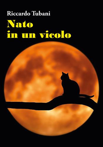 Nato in un vicolo - Riccardo Tubani - Libro Youcanprint 2021 | Libraccio.it