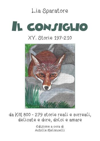 Il consiglio XV. Storie 197-210 da KM 800-279 storie reali e surreali, delicate e dure, dolci e amare - Lia Sparatore - Libro Youcanprint 2021 | Libraccio.it