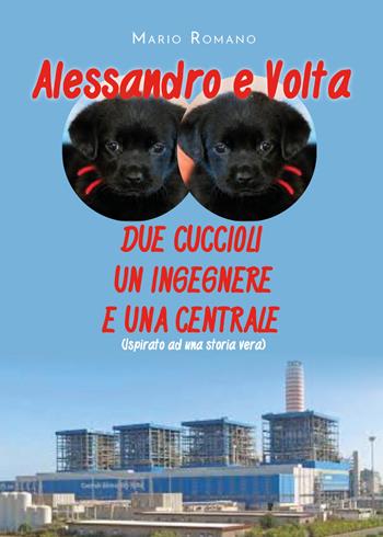 Alessandro e Volta. Due cuccioli, un ingegnere e una centrale - Mario Romano - Libro Youcanprint 2021 | Libraccio.it