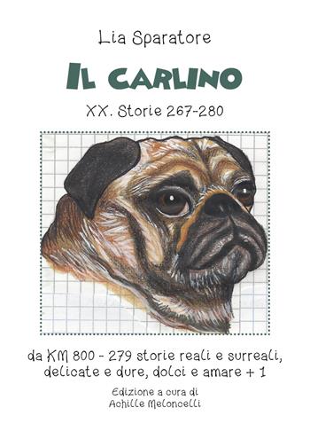 Il carlino XX. Storie 267-280, da km 800-279 storie reali e surreali, delicate e dure, dolci e amare + 1. Ediz. illustrata - Lia Sparatore - Libro Youcanprint 2021 | Libraccio.it