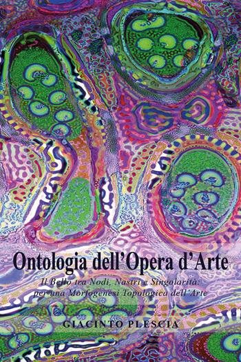 Ontologia dell'opera d'arte. Il bello tra nodi, nastri e singolarità: per una morfogenesi topologica dell'arte - Giacinto Plescia - Libro Youcanprint 2021 | Libraccio.it