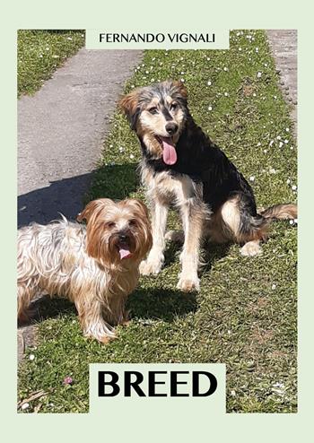 Breed - Fernando Vignali - Libro Youcanprint 2021 | Libraccio.it