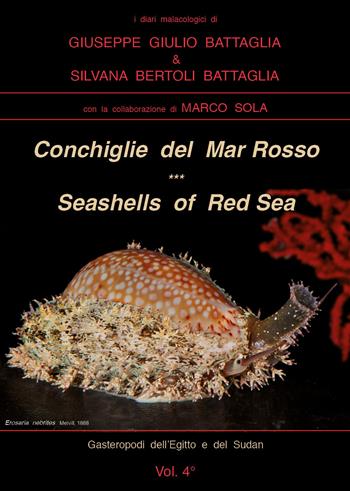 Conchiglie del Mar Rosso-Red Sea's seashelles. Ediz. bilingue - Giuseppe Giulio Battaglia, Silvana Bertoli Battaglia - Libro Youcanprint 2021 | Libraccio.it