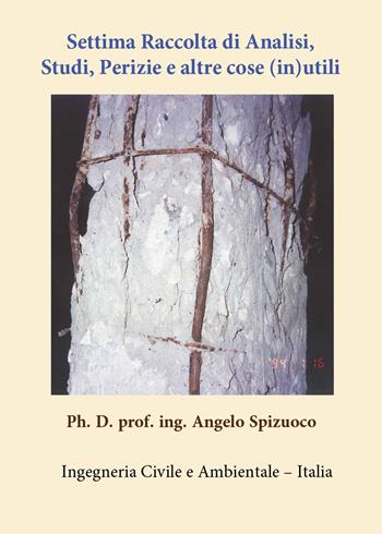 Settima raccolta di analisi, studi, perizie e altre cose (in)utili - Angelo Spizuoco - Libro Youcanprint 2021 | Libraccio.it