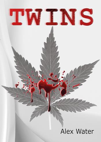 Twins - Alex Water - Libro Youcanprint 2021 | Libraccio.it
