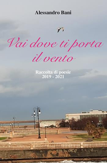 Vai dove ti porta il vento - Alessandro Bani - Libro Youcanprint 2021 | Libraccio.it