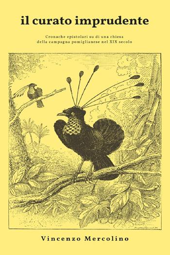 Il curato imprudente - Vincenzo Mercolino - Libro Youcanprint 2021 | Libraccio.it