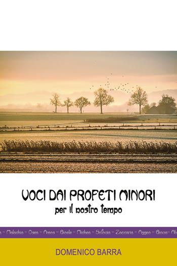 Voci dai profeti minori. Per il nostro tempo - Domenico Barra - Libro Youcanprint 2021 | Libraccio.it