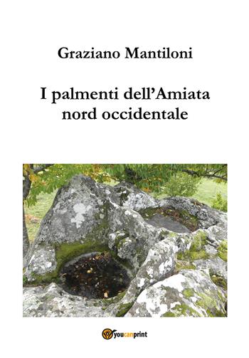 I palmenti dell'Amiata nord occidentale - Graziano Mantiloni - Libro Youcanprint 2021 | Libraccio.it