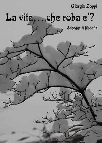 La vita... che roba è? Schegge di filosofia - Giorgio Zoppi - Libro Youcanprint 2021 | Libraccio.it