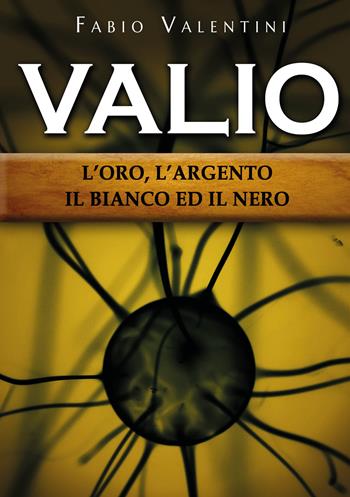 Valio. L'oro, l'argento, il bianco ed il nero. Vol. 1 - Fabio Valentini - Libro Youcanprint 2022 | Libraccio.it